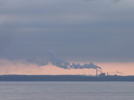 Particolato sottile e prognosi infausta nel tumore al seno