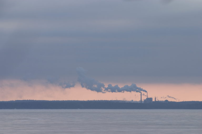 Particolato sottile e prognosi infausta nel tumore al seno