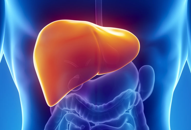 Tenofovir alafenamide per l’epatite cronica B