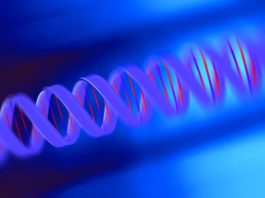 Tecniche di gene editing, prime raccomandazioni