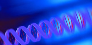 Tecniche di gene editing, prime raccomandazioni