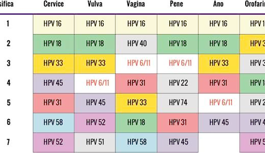 Infezioni da HPV e neoplasie correlate al Papillomavirus