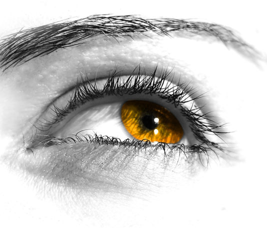 Studio su un nuovo approccio terapeutico al glaucoma