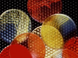 Le dodici famiglie di batteri resistenti obiettivo prioritario per l’OMS