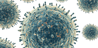 Vaccino antinfluenzale quadrivalente per la stagione 2017/2018