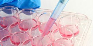 Un cittadino giapponese è il primo essere umano a ricevere cellule staminali eterologhe “riprogrammate”