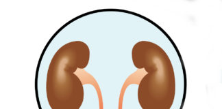 SBI-101 per il danno renale acuto entra nella fase clinica