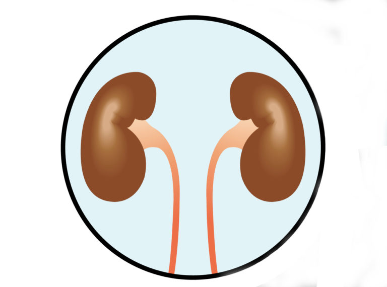 SBI-101 per il danno renale acuto entra nella fase clinica