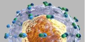 Il Nobel per la medicina assegnato quest’anno a tre virologi