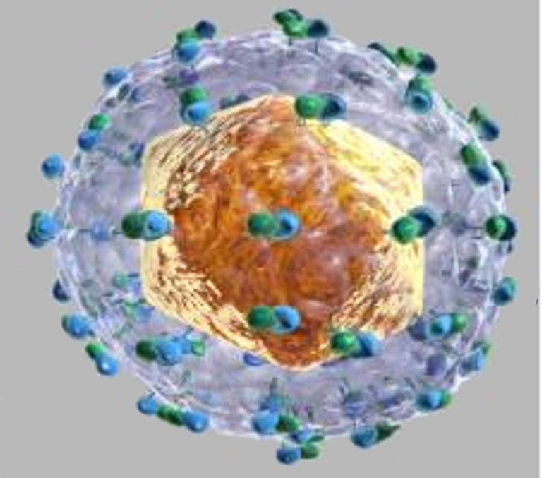 Elbasvir/grazoprevir e personalizzazione della terapia per l’epatite C