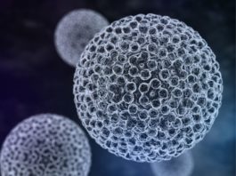I ginecologi italiani fanno chiarezza su importanza ed efficacia della vaccinazione anti-papillomavirus