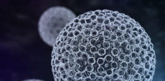 I ginecologi italiani fanno chiarezza su importanza ed efficacia della vaccinazione anti-papillomavirus