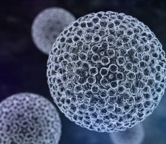 I ginecologi italiani fanno chiarezza su importanza ed efficacia della vaccinazione anti-papillomavirus