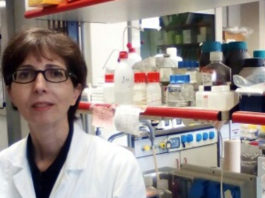 Patogenesi della fibrillazione atriale negli ipertesi Uno studio di Teresa Seccia su ipertensione, fibrillazione atriale e aldosteronismo ha indagato il ruolo dell'aldosterone nella patogenesi della fibrillazione atriale negli ipertesi