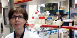 Patogenesi della fibrillazione atriale negli ipertesi Uno studio di Teresa Seccia su ipertensione, fibrillazione atriale e aldosteronismo ha indagato il ruolo dell'aldosterone nella patogenesi della fibrillazione atriale negli ipertesi