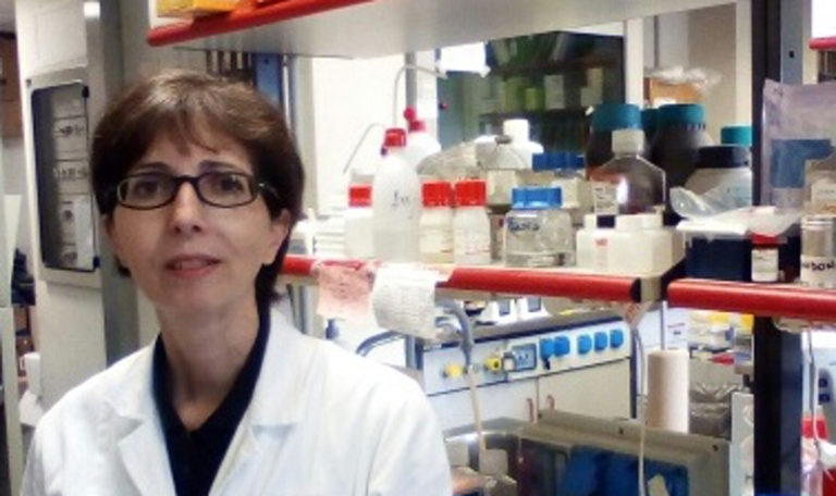 Patogenesi della fibrillazione atriale negli ipertesi