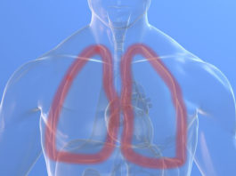 Nintedanib per la fibrosi polmonare idiopatica può stabilizzare o migliorare la funzione respiratoria Nintedanib per la fibrosi polmonare idiopatica può stabilizzare o migliorare la funzione respiratoria nel doppio dei casi rispetto a placebo alla settimana 52
