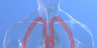 Nintedanib per la fibrosi polmonare idiopatica può stabilizzare o migliorare la funzione respiratoria Nintedanib per la fibrosi polmonare idiopatica può stabilizzare o migliorare la funzione respiratoria nel doppio dei casi rispetto a placebo alla settimana 52
