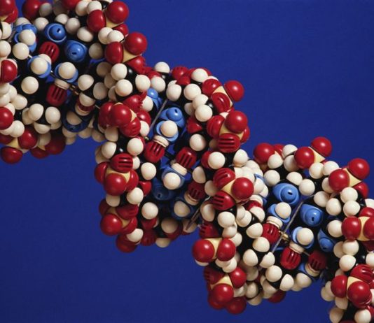 Lumacaftor/ivacaftor per la fibrosi cistica nei pazienti con due copie della mutazione F508del