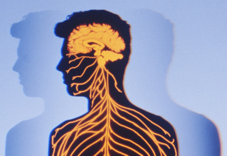 Cladribina per la sclerosi multipla riceve il parere positivo del CHMP dell’EMA