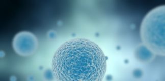 FDA annuncia una stretta sulle terapie con cellule staminali e rigenerative