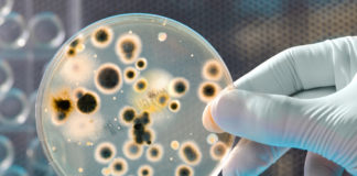 In crescita il mercato dei farmaci contro il Clostridium difficile