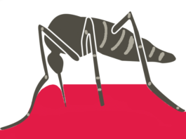 Chikungunya chikungunya