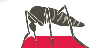 Chikungunya chikungunya