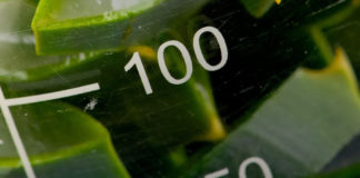 Sintetizzate molecole ad attività antitumorale derivate dal luppolo
