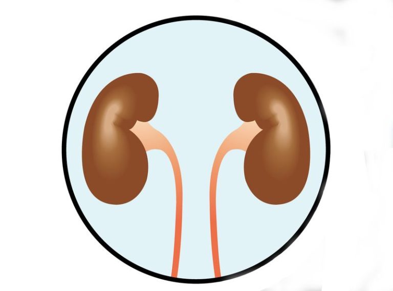 Test per la prevenzione del danno renale acuto