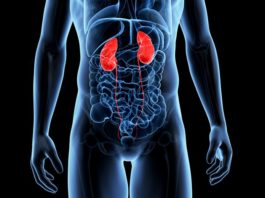 Empagliflozin sarà studiato per la malattia renale cronica anche senza diabete