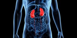 Empagliflozin sarà studiato per la malattia renale cronica anche senza diabete