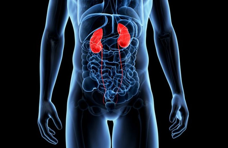 Empagliflozin sarà studiato per la malattia renale cronica anche senza diabete