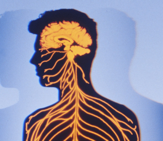 Malattie del sistema nervoso e recettori metabotropici del glutammato