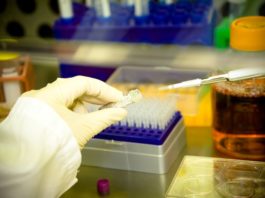 D/C/F/TAF per le infezioni da HIV