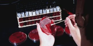 Infezioni correlate all’assistenza e antimicrobicoresistenza