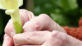 In arrivo in Italia baricitinib per l’artrite reumatoide