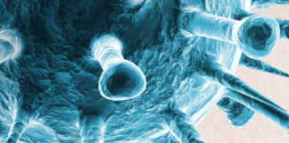 Letermovir per la profilassi dell’infezione da citomegalovirus