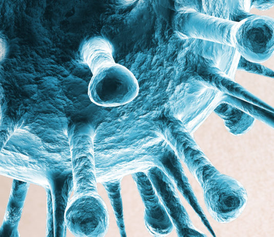 Letermovir per la profilassi dell’infezione da citomegalovirus