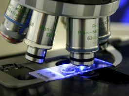 Studi su terapie per il carcinoma prostatico