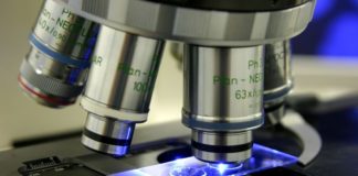 Studi su terapie per il carcinoma prostatico