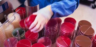 Piano nazionale di contrasto dell’antimicrobico-resistenza 2017-2020