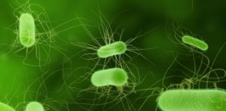 Infezioni batteriche, antibiotici e antibiotico-resistenza