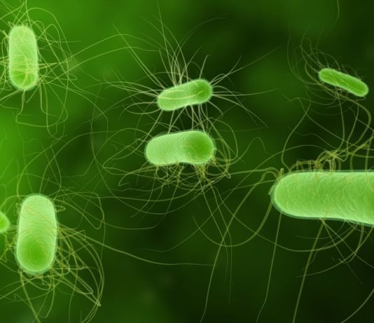 Infezioni batteriche, antibiotici e antibiotico-resistenza