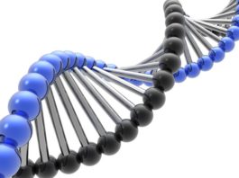 Nusinersen per la atrofia muscolare spinale (SMA)