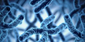 Malattie legate a mutazioni del gene KIF5A