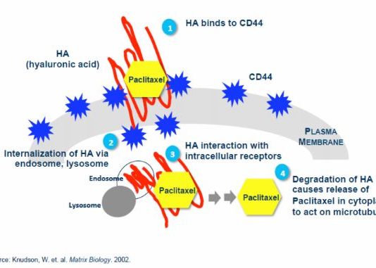 Paclitaxel bio-coniugato con acido ialuronico per il carcinoma papillare della vescica