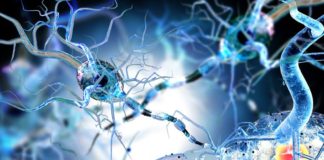 Siponimod per la sclerosi multipla secondariamente progressiva (SMSP) siponimod per la sclerosi multipla secondariamente progressiva (SMSP) è in grado di ritardare in modo significativo la progressione della disabilità