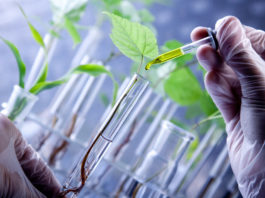 Software per produzione e commercializzazione di fitofarmaci