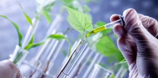 Software per produzione e commercializzazione di fitofarmaci